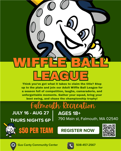 Wiffle Ball